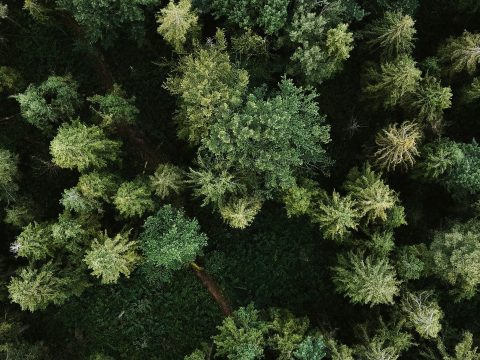 Réalisation rénovation